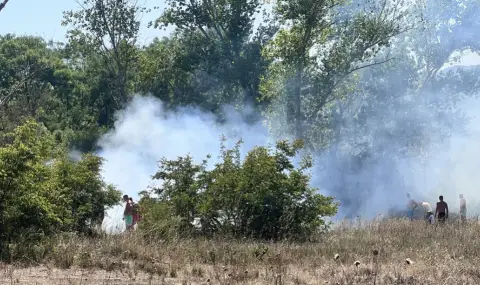 Пожар край „Градина”, плажуващи и работници от заведенията гасят огъня  - 1
