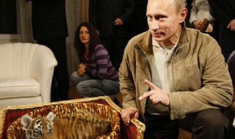 Тигърът на Путин се уреди с гадже - 1