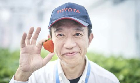 Toyota започна да отглежда ягоди и домати в своите фабрики - 1