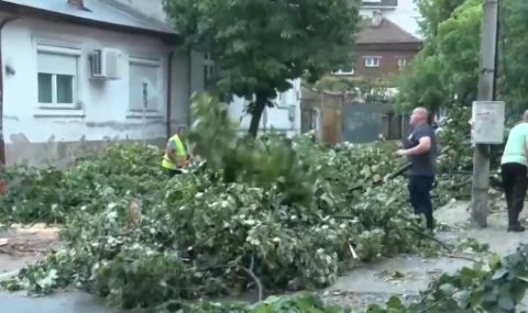 Буря в Хасково: Сигнали за паднали дървета, гръм подпали бизнес сграда  - 1