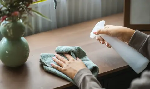 Колко често трябва да почиствате праха у дома? - 1