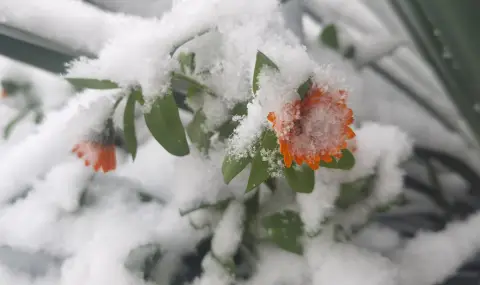 Heavy snowfall reduces visibility on "Struma" and "Trakia"  - 1