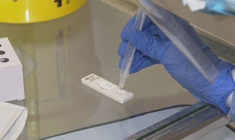 Нашенци въртят черна борса със сертификати за отрицателни антигенни тестове - 1