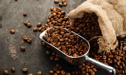 Площите за отглеждане на кафе ще намалеят наполовина заради климатичните промени - 1