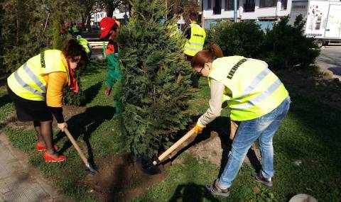 И в Пловдив залесяваха - 1