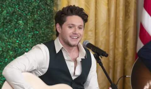 Певецът от One Direction Найъл Хоран разкри, че се бори с тежки здравословни проблеми - 1