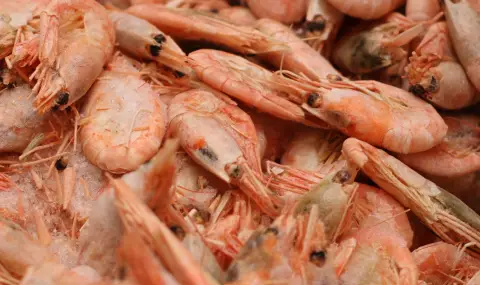 Скаридени такоси предизвикаха вълна от хранителни натравяния сред тенис елита в Мадрид - 1