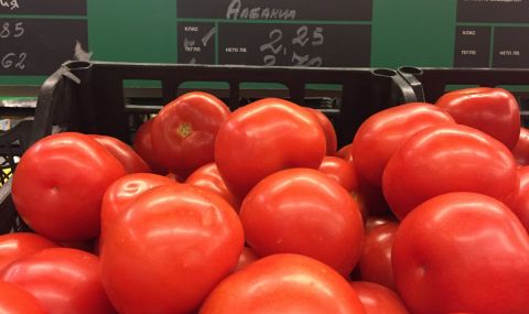 По 7 лева за килограм ще са най-ранните български домати  - 1