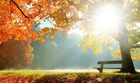 Времето днес, прогноза за четвъртък, 11 декември: Слънчево и почти тихо