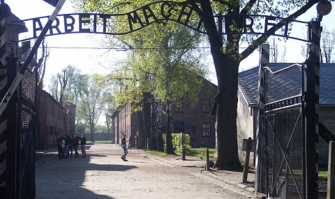 70 години от освобождението на нацистките лагери на смъртта - 1