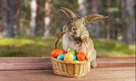 Странната история на Великденския заек - 1