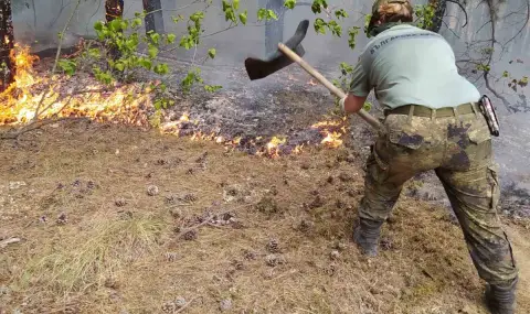 След близо месец битка с огъня: Ликвидиран е пожарът в Пирин - 1