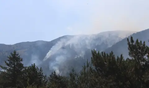 Partial state of emergency declared in Haskovo municipality  - 1