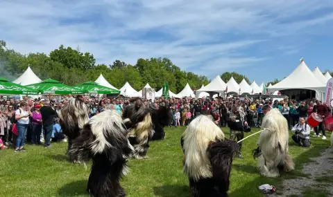 Президентът Радев приветства участниците в Националния събор на овцевъдите - 1