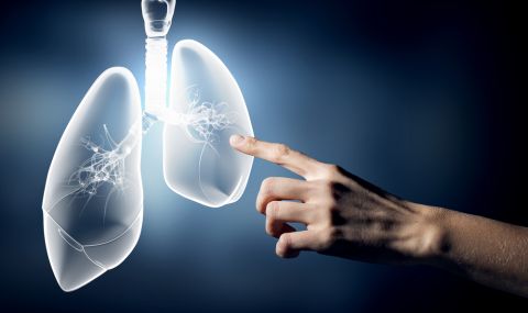 Днес е световният ден за борба с рака на белите дробове - 1