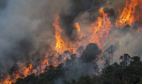 Голям горски пожар в Южна Испания - 1