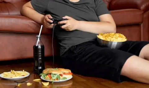 Преработените храни съсипват потентността на мъжете - 1