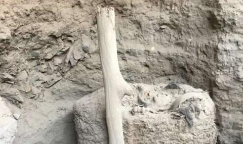 Археолози откриха невероятна мумия на над 1000 години в Перу - 1