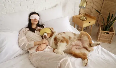 Домашните любимци подобряват психичното здраве на 83% от стопаните - 1