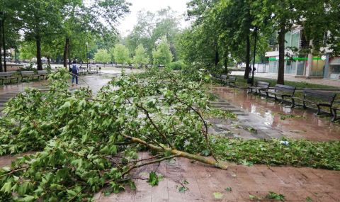 6 екипа от Столична община реагират на сигналите от бурята и силния дъжд  в града  - 1