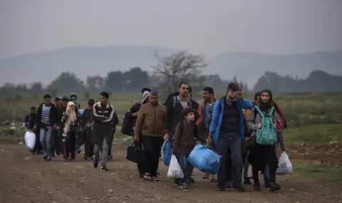 Austrian government encourages Syrian citizens to return home  - 1