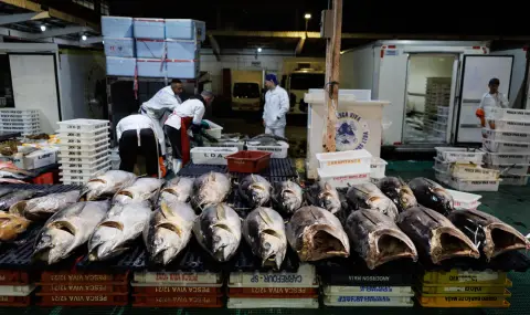 САЩ грубо нарушават ангажиментите си към СТО - 1