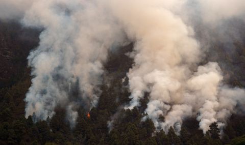 26 000 души на Тенерифе са евакуирани заради пожарите - 1