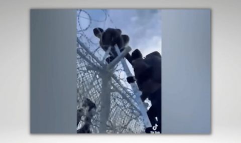 Мигранти се похвалиха в Тик-Ток как преминават оградата на границата ни  - 1