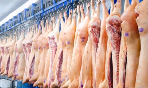 Чумата по свинете в Азия оказва силно влияние на пазарите на месо - 1