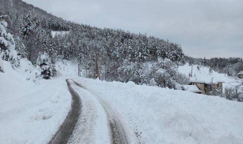 Над 310 снегопочистващи машини обработват пътищата - 1