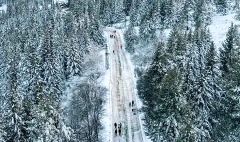 Столичната община подобрява организацията на движението по пътищата на Витоша