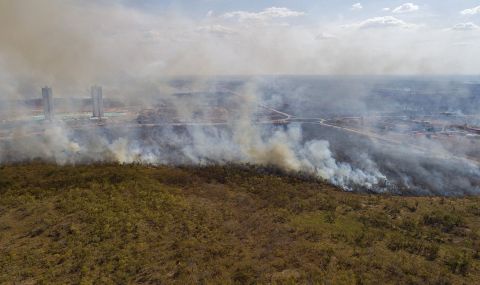 В бразилска Амазония бушуват опустошителни пожари - 1