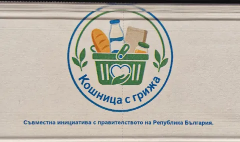 Журналист: „Кошницата с грижа", като една от мерките, щеше да работи, ако беше въведена през май миналата година
