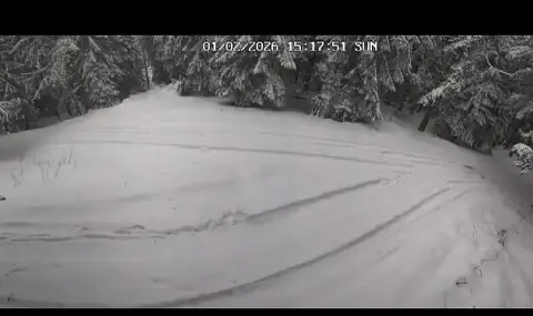 Какво се случва на хижа „Петрохан“ между 31 януари и 2 февруари ВИДЕО