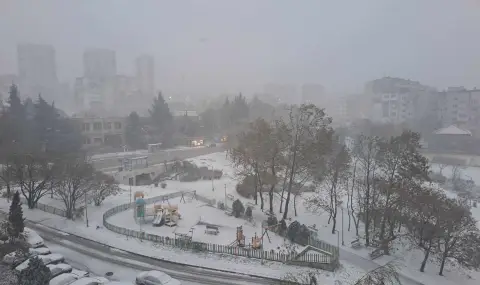 Снегът стигна Варна, затвориха пътищата Шумен-Разград-Русе и Шумен-Силистра - 1