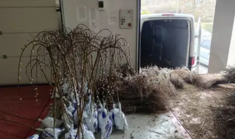 Спряха вноса на хиляди овошки и лози с неясен произход - 1