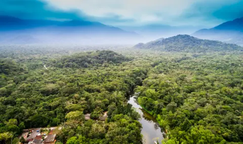 Ново откритие на археолози: Изгубена долина от градове в амазонската джунгла - 1
