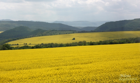 Европа с наказателна процедура срещу България заради земеделската земя - 1