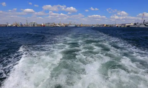 Екоактивисти: Имаме само едно Черно море и трябва да го защитим - 1