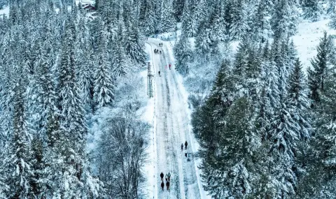 Столична община временно затваря пътните участъци към  Витоша през уикенда