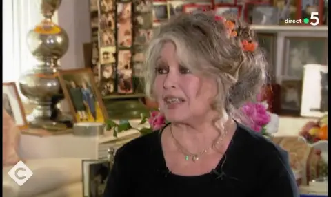 Actress Brigitte Bardot dies  - 1