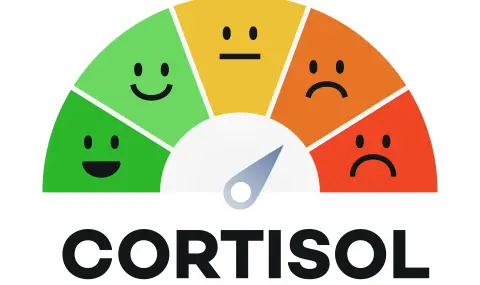 Как да разпознаем симптомите на висок кортизол? - 1
