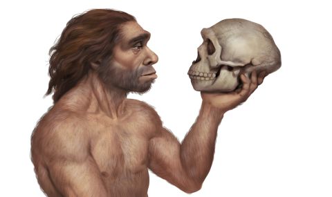 Във Франция откриха рисунки на неандерталци - 1