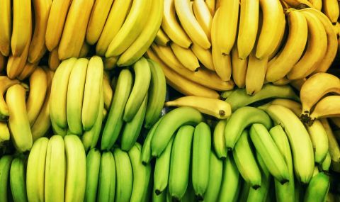 Зелените или зрелите банани са по-полезни? - 1