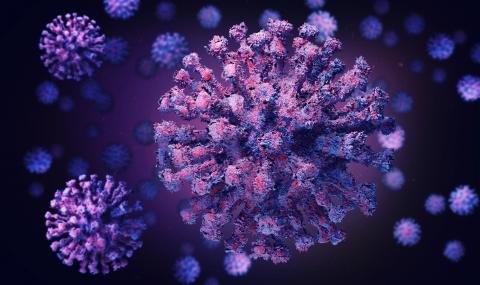 Появи се нова версия за произхода на коронавируса - 1