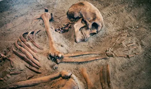 Хилядолетни кости, открити на океанското дъно, разкриха нови сведения за изчезнал човешки вид - 1