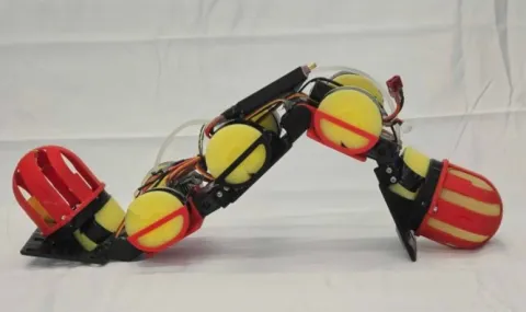 Robotic Worm Uses Internal Water Ballast to Traverse Rough Terrain (VIDEO) - 1