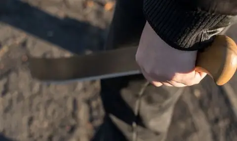 Задържаха мъж, размахвал мачете в столичен мол - 1