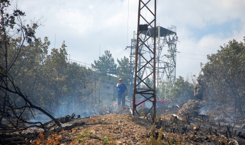 Овладян е огромният пожар в Тополовградско - 1