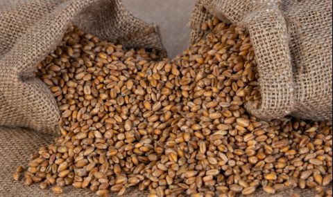 Световната продоволствена криза ще продължи години  - 1